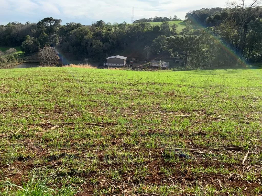 Imóvel 3475
