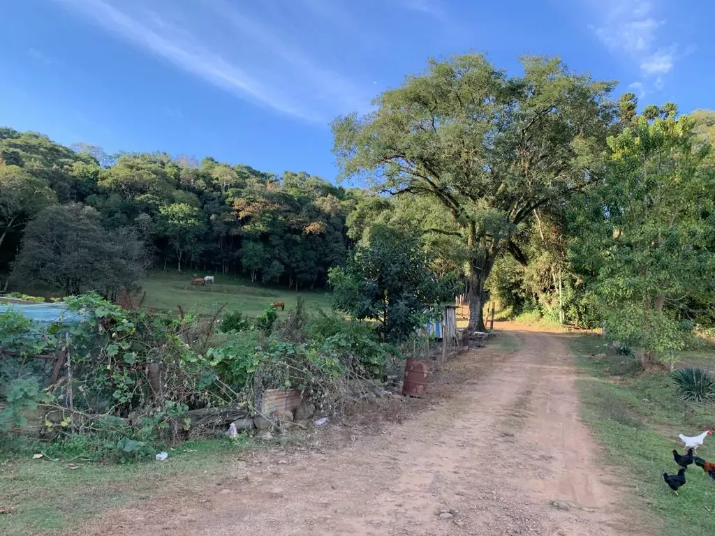 Imóvel 3475