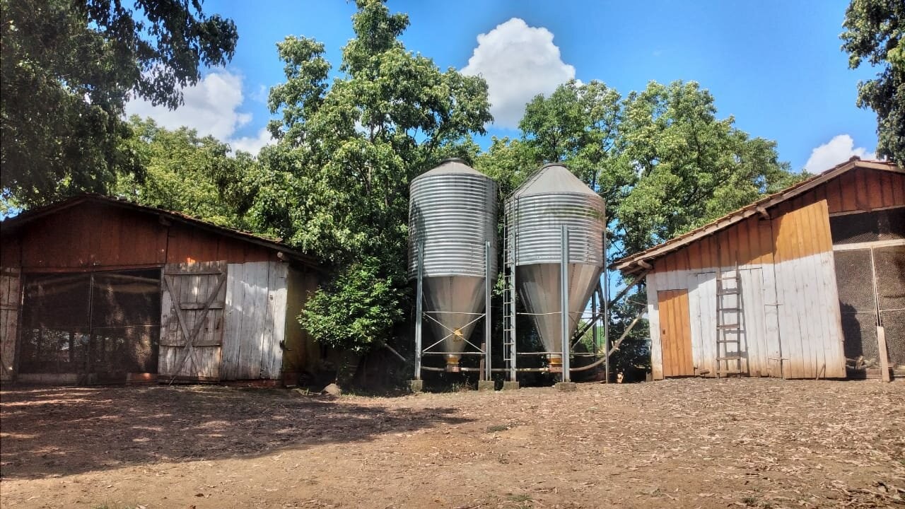 Imóvel 3606
