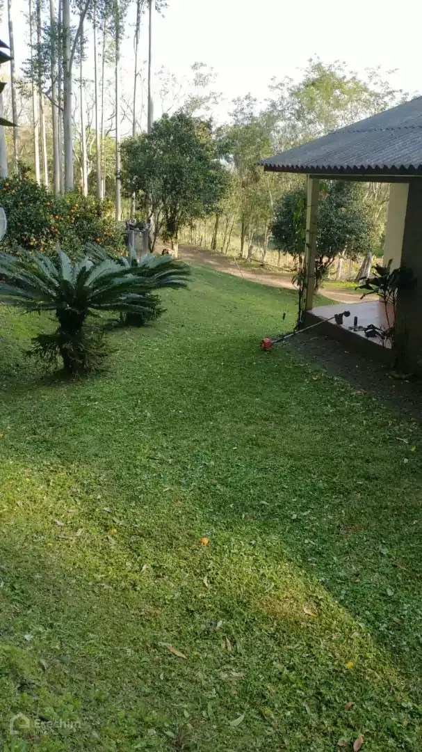 Imóvel 3967