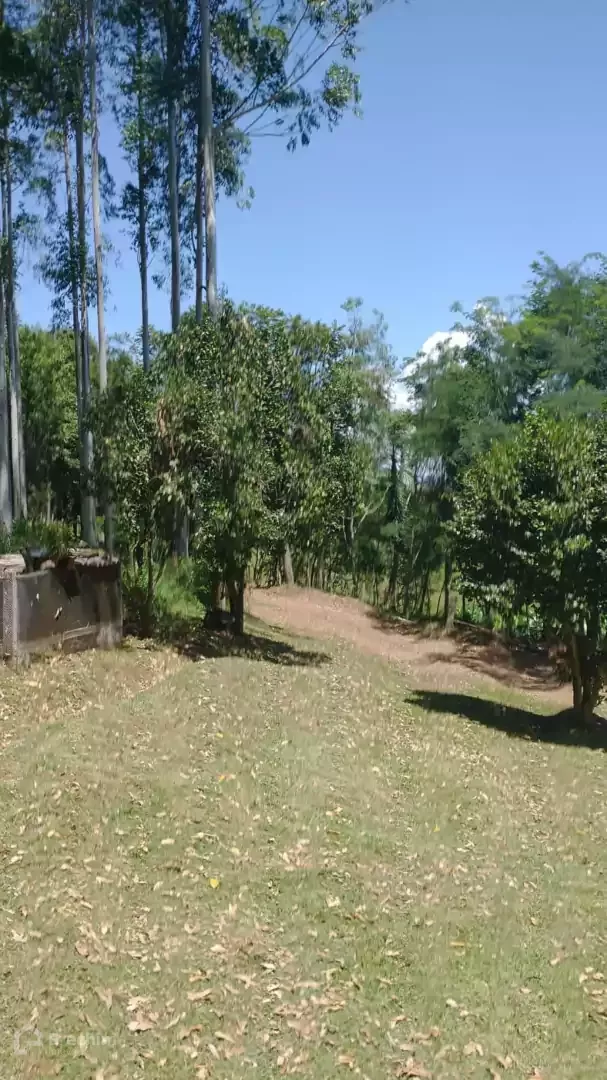 Imóvel 3967