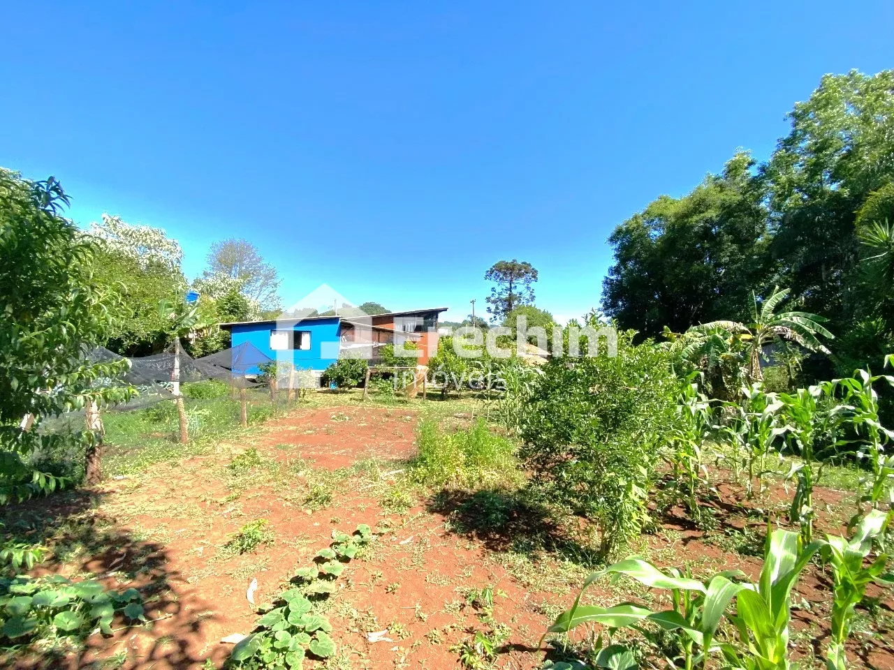 Imóvel 4359