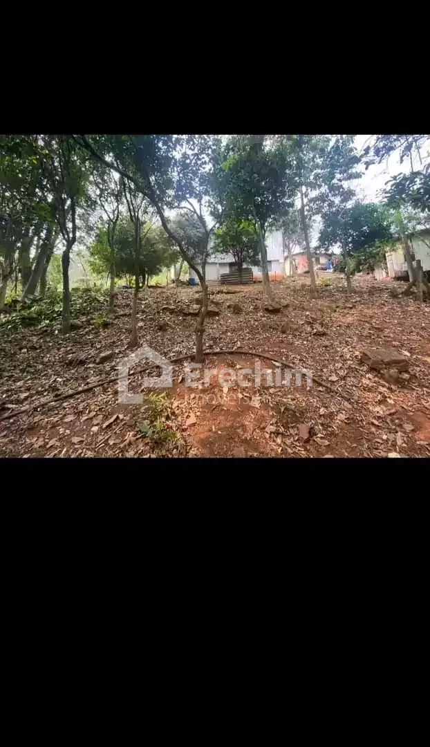 Imóvel 4608
