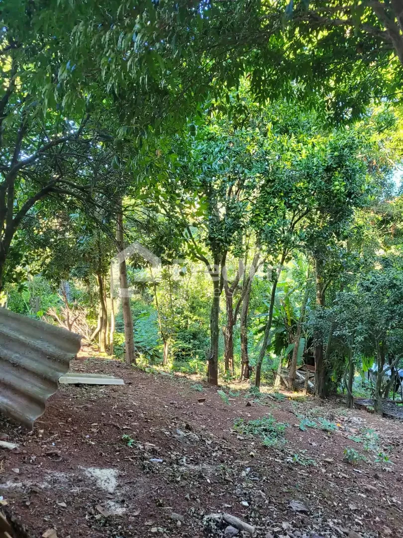 Imóvel 4608