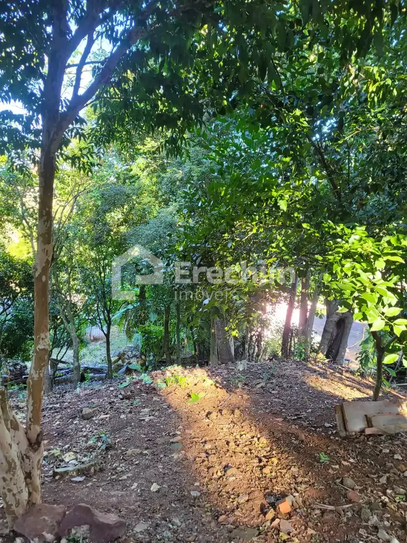 Imóvel 4608